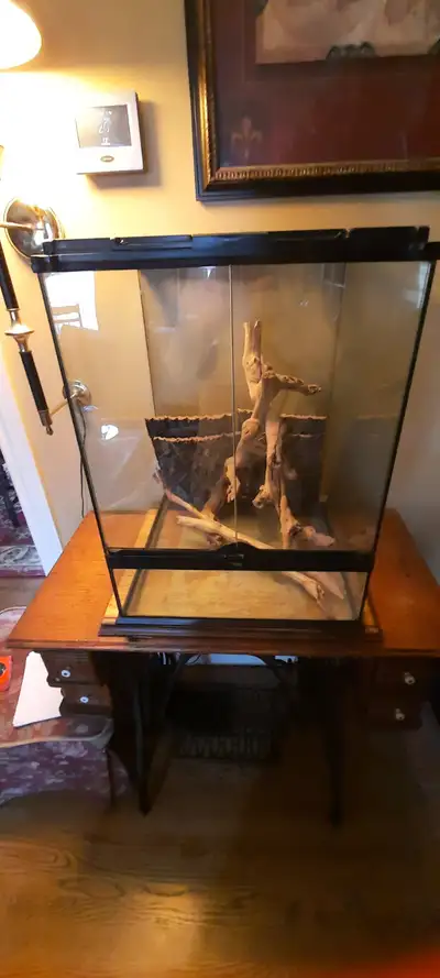 TERRARIUM FOR SALE, View more