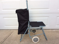 GROCERY CART WITH FOLD DOWN SEAT
