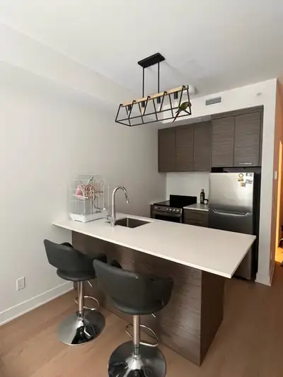 Studio for rent at 1400 rue Ottawa. Fully furnished: - kitchen (stove, hood, dishwasher, refrigerato...