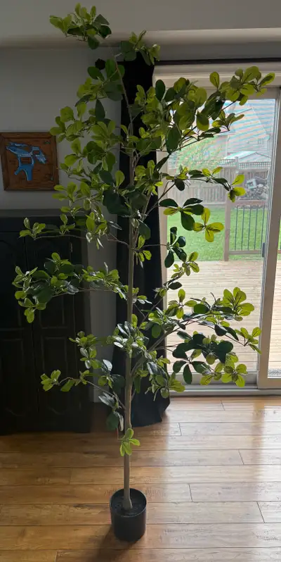 New! Bellacat Faux Olive Tree $70 Pick up in Smithville