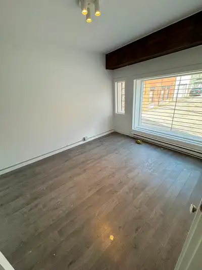 Appartement à louer Plateau-Mont-Royal à coté du Parc Lafontaine