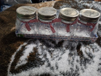 Brand New Mini Canning Jars