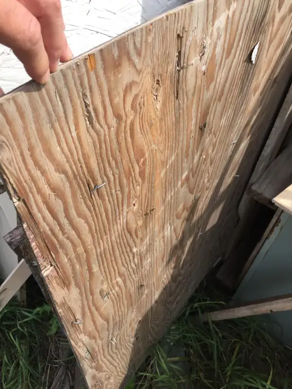 Big collection of 1/4 inch plywood from 10 cents per square foot