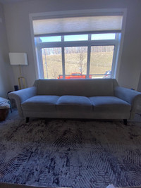 Urban Barn Grey Upholstered Couch