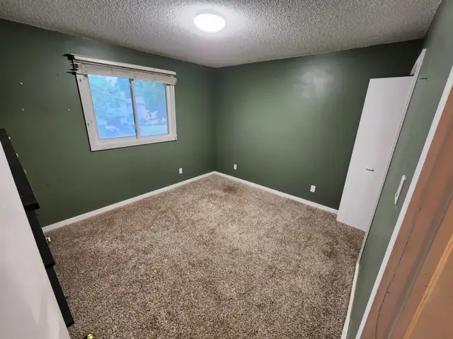 Beautiful Open Concept Raised Bungalow House for Rent in Houses for Sale in Kitchener / Waterloo - Image 17