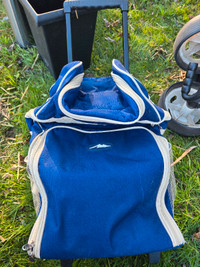 Picnic cooler bag