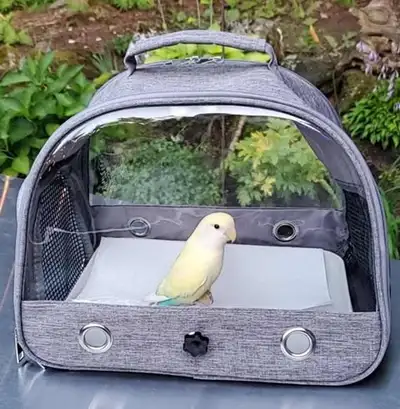 Cage de transport Deluxe pour petit perroquet 33x24x26cm, View more