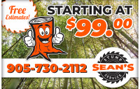 Stump Grinding - $99-Hamilton-Burlington-Niagara Area