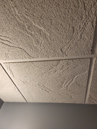 WANTED - CEILING TILES