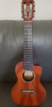 Gretsch G9126 ACE Nylon Acoustic-Electric Cutaway Guitar-Ukulele