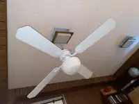 Ceiling Fan - with light