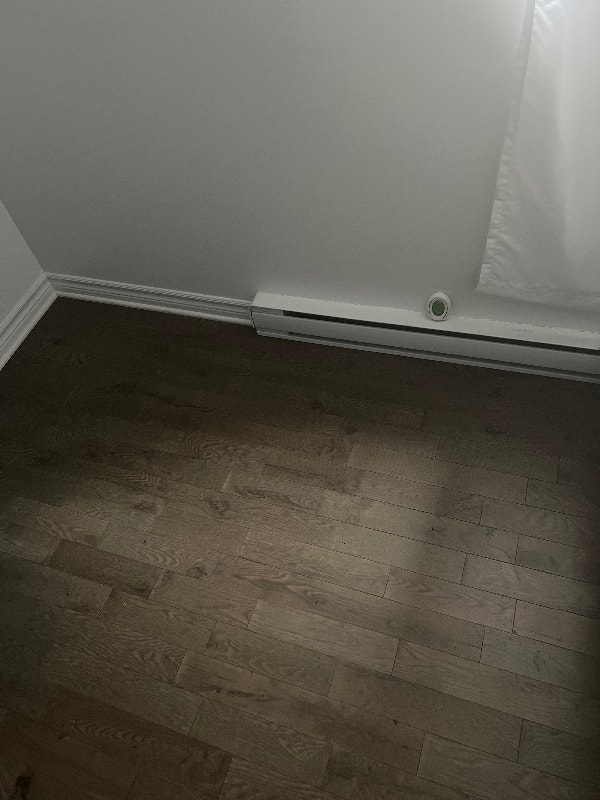 Roommate Needed 5 min walk to Plamodon Metro Chambres à louer et