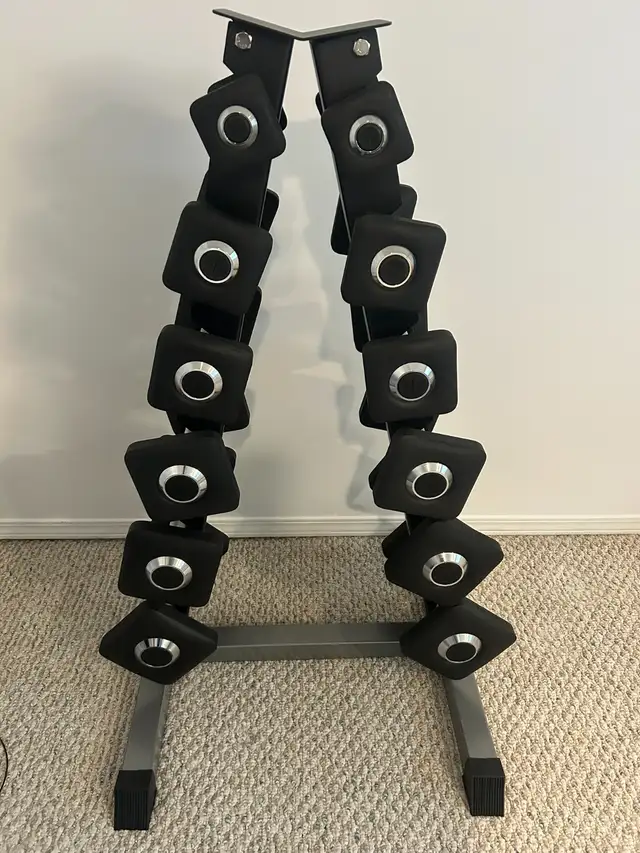 Peloton Dumbbell Set w/ Rack - 5lbs - 30lbs in Exercise Equipment in Burnaby/New Westminster - Image 2