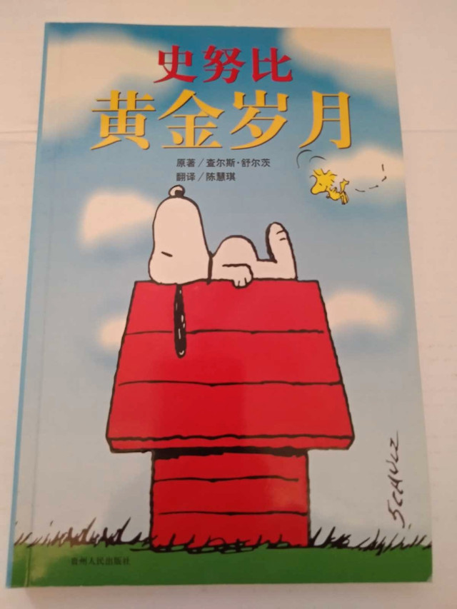 Chinese Snoopy and Charlie Brown book in like new condition  in Children & Young Adult in Kitchener / Waterloo