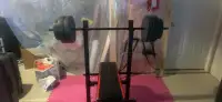 Cap strength weight set and bench 