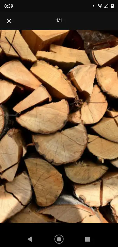 LOOKING FOR FIREWOOD, View more