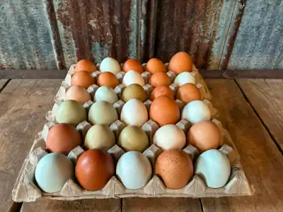 Farm Fresh, Pasture Raised Eggs, View more