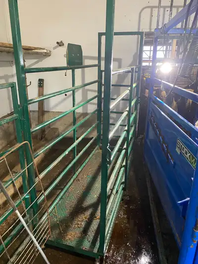 scale for livestock , View more