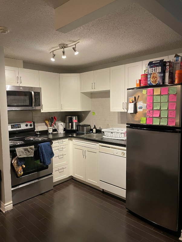 ROOMMATE WANTED - 311 Queen St in Long Term Rentals in Kingston - Image 4