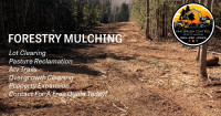 Forestry Mulching/Excavating Services