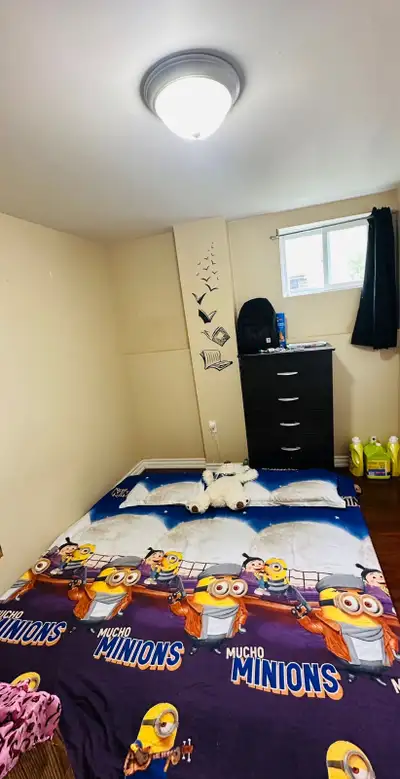 Sharing Room For One Girl (walk-in basement)