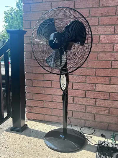 Standing Fan, View more