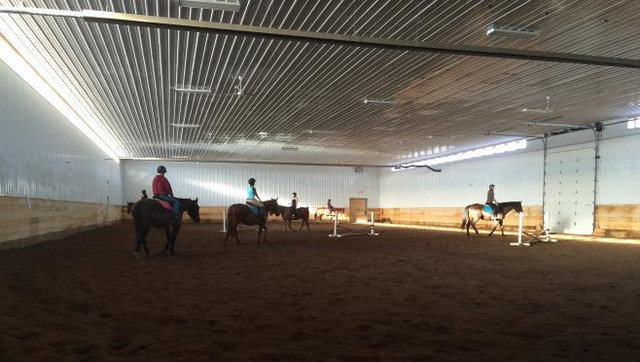 ACCEPTING NEW STUDENTS NOW: Mar/Apr Weekly Horse Riding Lessons dans Cours  à Comté de Strathcona - Image 2