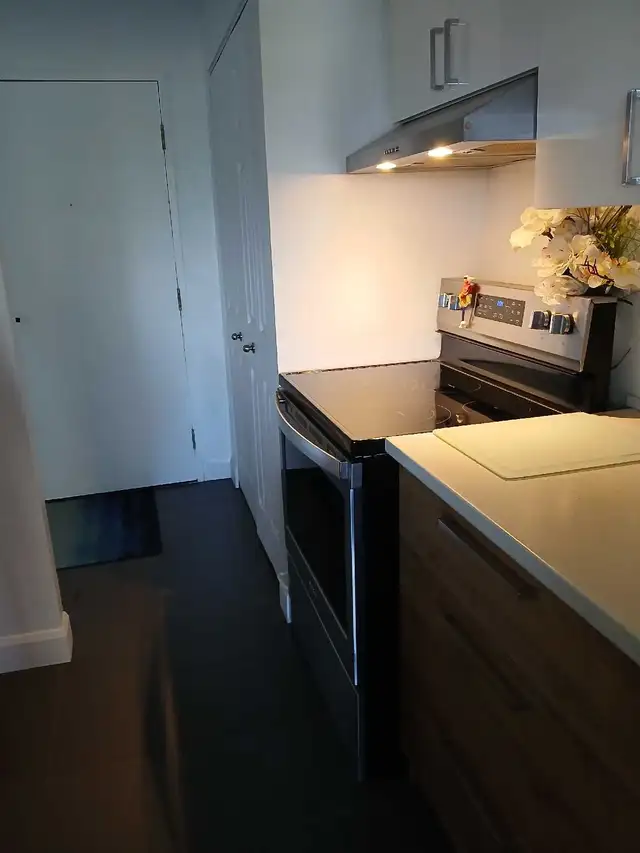 Location:41/2,Sillery sur le fleuve. 1022pc. in Long Term Rentals in Québec City - Image 8