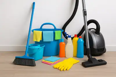 Hello! My name is Lily, and I am an experienced female cleaner/housekeeper available for work in Tor...