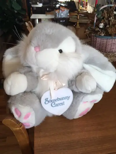 Somebunny Cares bunny is ever so adorable and extremely soft. No rips, tears or stains Just like new...