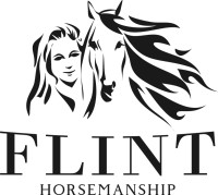 Horse Training @ Flint Horsemanship