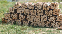 Large dry split birch, tamarack, spruce/pine firewood