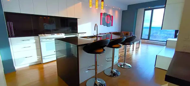 Condo 3 1/2 - 29eme etage - IDS in Condos for Sale in City of Montréal - Image 6