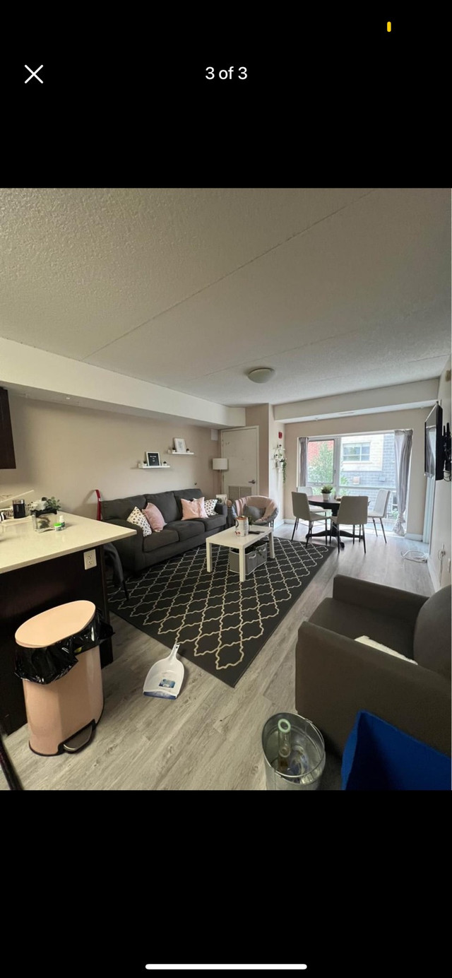 Looking for sublet for may-august 2024 in Room Rentals & Roommates in Kitchener / Waterloo - Image 3