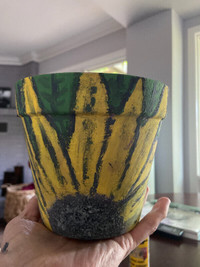 Hand Painted Clay Pot