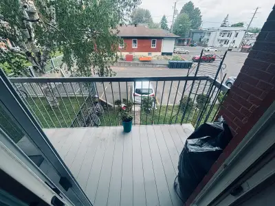 4 1/2 Lévis centre-ville 1 er août