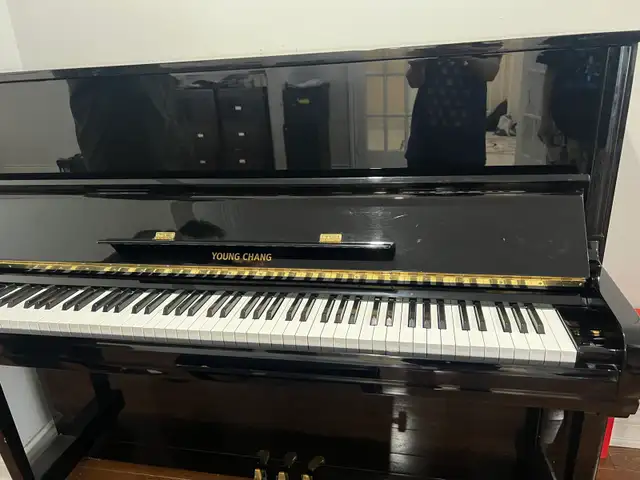 48” Professional Upright Piano – Young Chang – Original Owner in Pianos & Keyboards in City of Toronto - Image 3