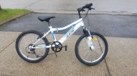 *** Many Kids Size 20 Mountain/BMX Bikes ***