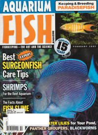 Aquarium Fish Magazine Feb. 2003: Surgeon Fish Shrimps Paradise