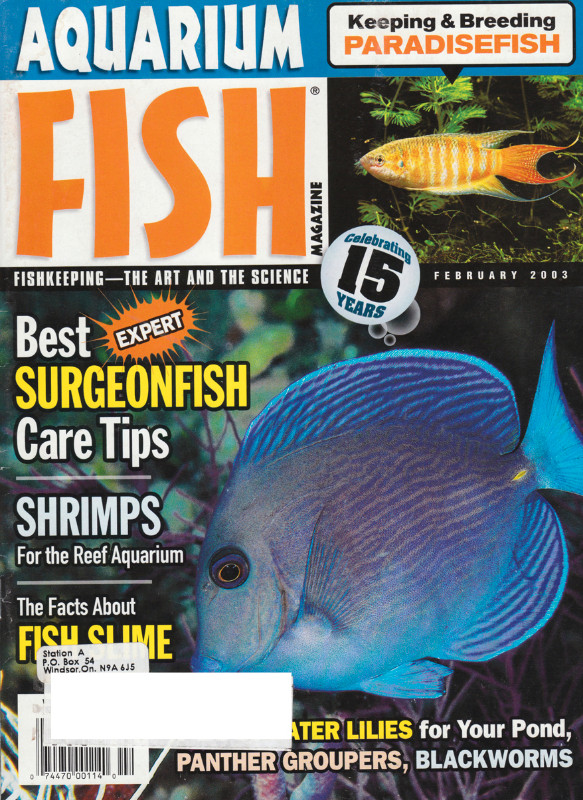 Aquarium Fish Magazine Feb. 2003: Surgeon Fish Shrimps Paradise in Magazines in City of Toronto