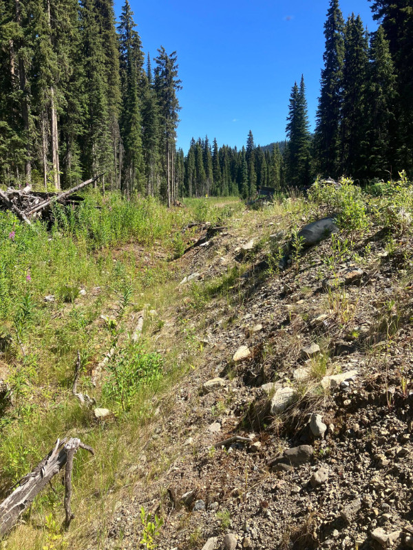 kettle River gold claim in Land for Sale in Vernon - Image 4