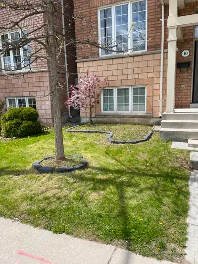 York University Room For Rent