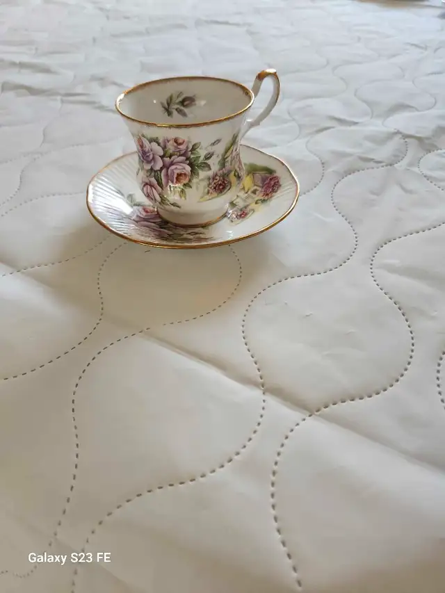 Queen's Rosina China Teacup Saucer632407064870411222