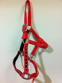 HORSE NYLON HALTER  RED