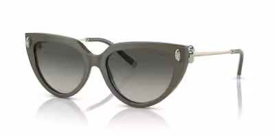 Tiffany & Co. TF4195 Product details Elevating the iconic cat eye shape to new heights, Tiffany & Co...
