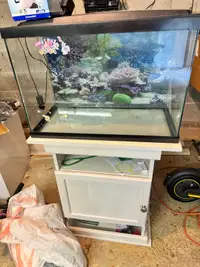 30 galllon Fish tank with stand and accessories