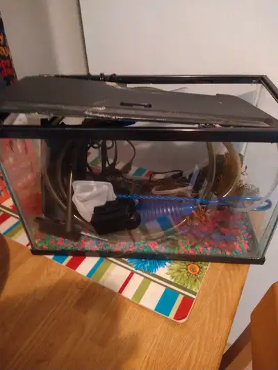 Used but in good condition. Including all associated decor No deliveries.