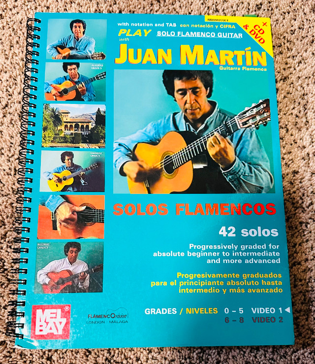 Play Solo Flamenco Guitar with Juan Martín, Vol. 1 in Textbooks in Calgary