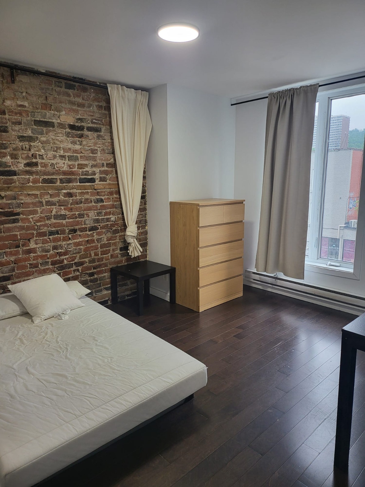 Chambre en Colocation meublée Septembre Plateau-Mont-Royal — photo 1