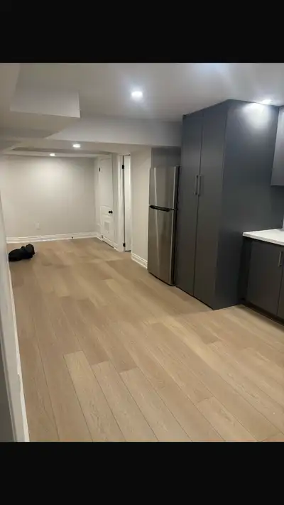 One room available in a two bedroom basement